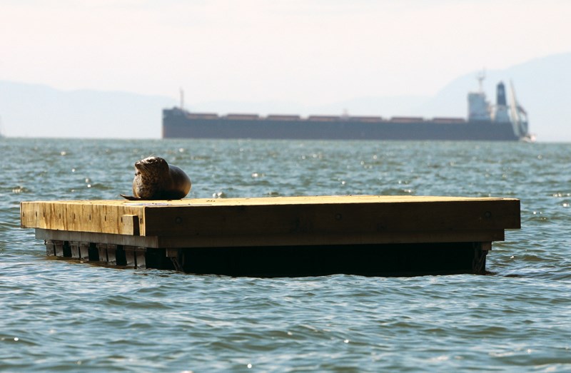 dock