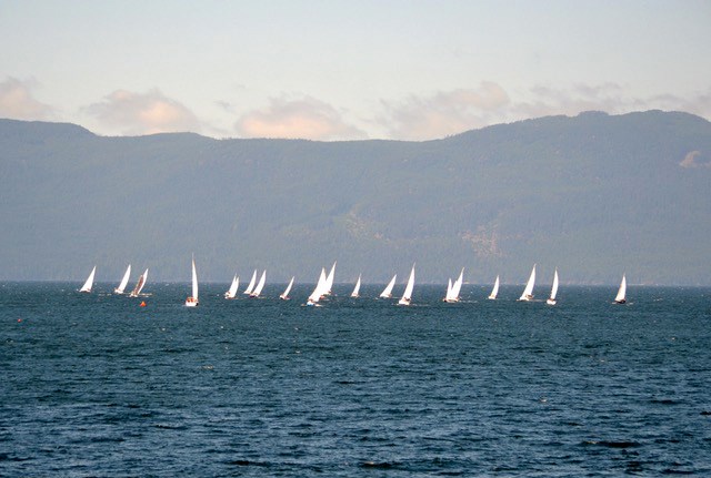 regatta