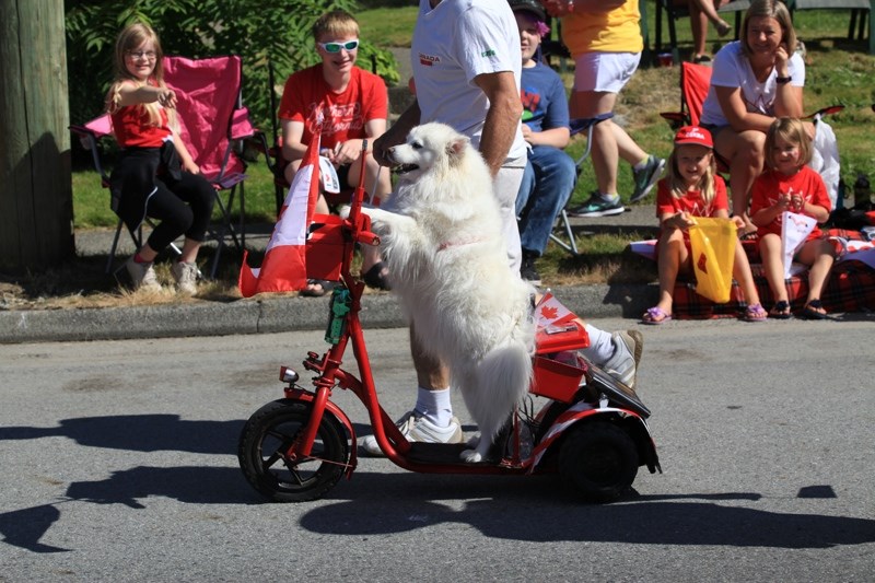 Canada 150 celebrations were doggone crazy in North Vancouver. photo Kevin Hill, North Shore News