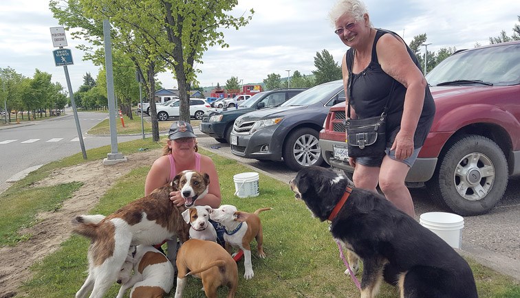 Nadina Doyle, left, poses with her her mother, Heather Klassen, their four Staffordshire bull terrier puppies, a boxer/bull mastiff cross, and a Rottweiler cross Sunday morning after they spent the night Saturday at the Prince George wildfire evacuation centre at the College of New Caledonia. Evacuees from forest fires south of the city are being lodged at the CNC gymnasium and Charles Jago Northern Sport Centre at UNBC until the fire danger will allow them to return to their homes in the Cariboo.