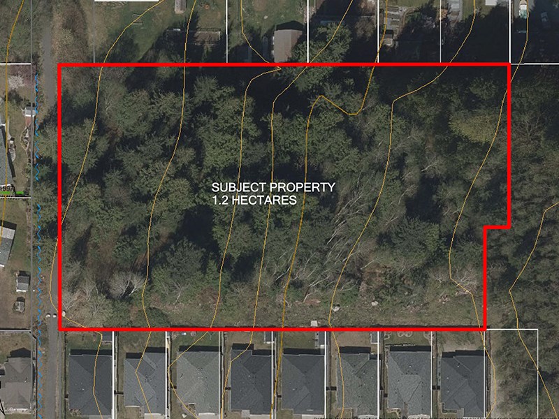 tree bylaw