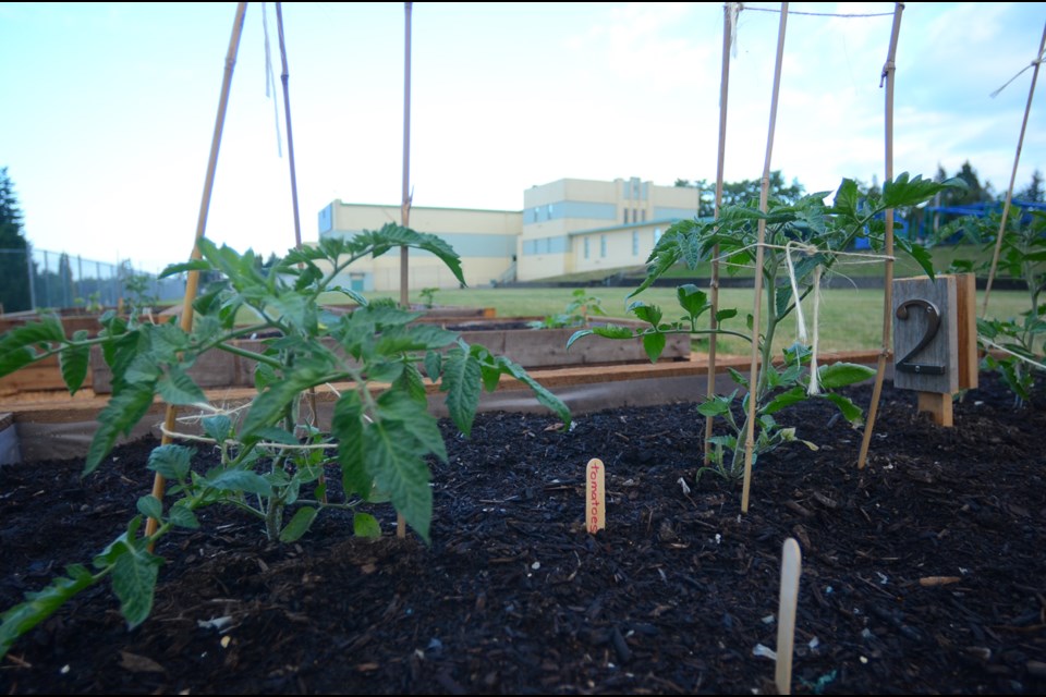 The community garden at École Lord Tweedsmuir Elementary School is open and ready for some TLC.