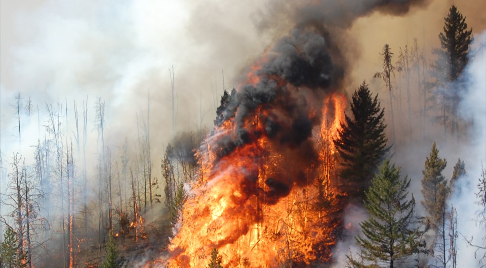 fire