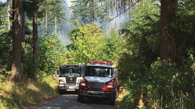 Comox firefighters had assistance from crews from Cumberland, Campbell River, Oyster River, Canadian Forces Base Comox and the B.C. Wildfire Service to fight a brush fire on Saturday, July 15, 2017.