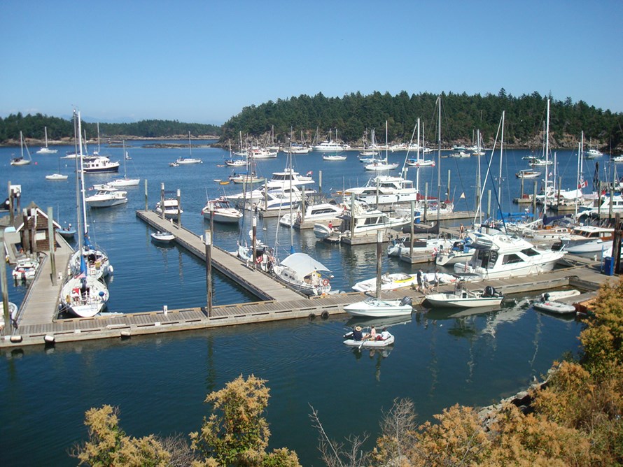 silva bay marina