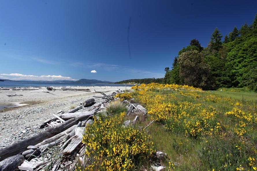 Priced from $199,900, oceanfront lots on Sidney Island are considered a best recreational buy in the Gulf Islands of B.C. | LandQuest Realty Corp.