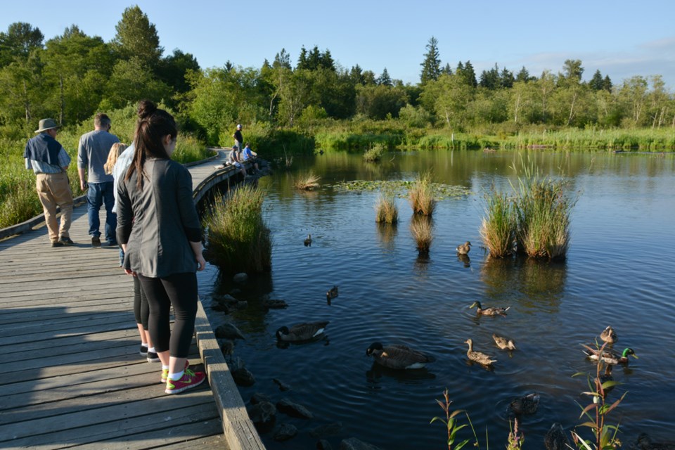 Burnaby Lake