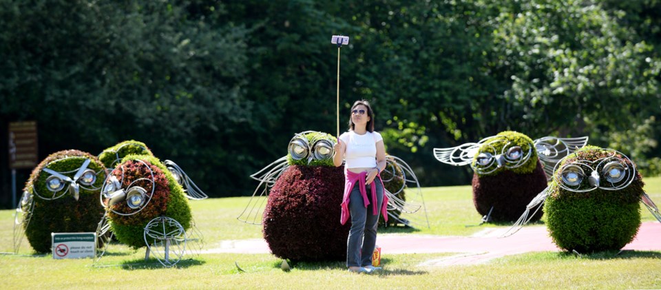 eco sculptures