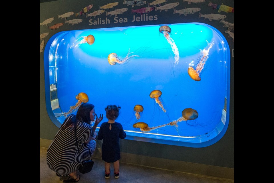 A mother and daughter are dwarfed by a colourfully lit jellyfish display.