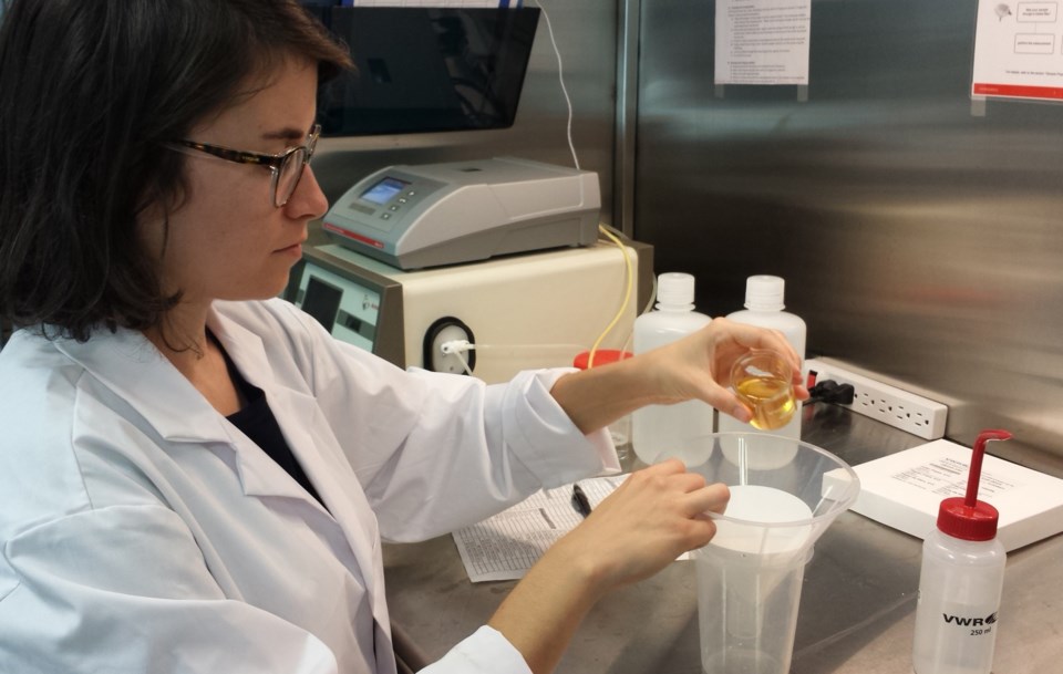 beer lab