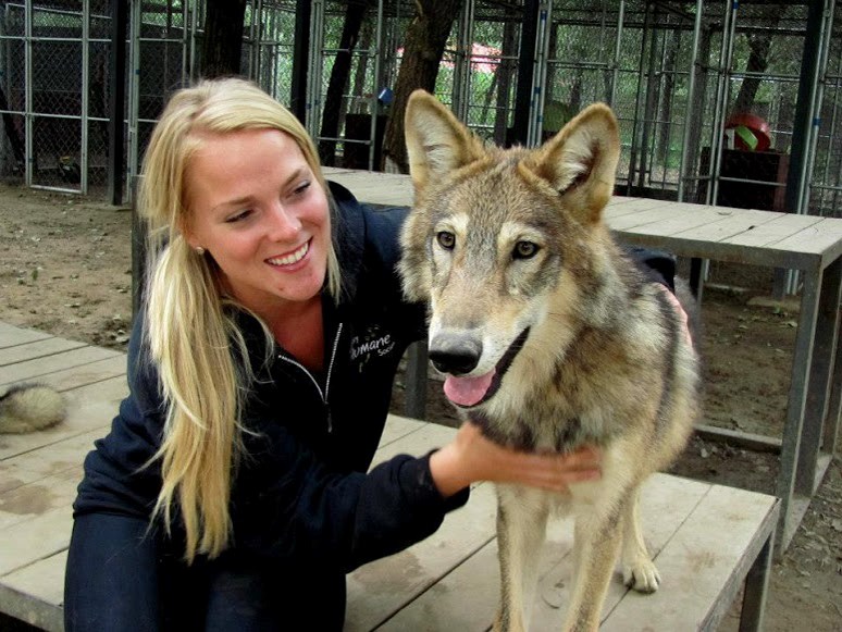 Dog trainer Annika McDade spent two years working with wolves on film sets in China and Mongolia.