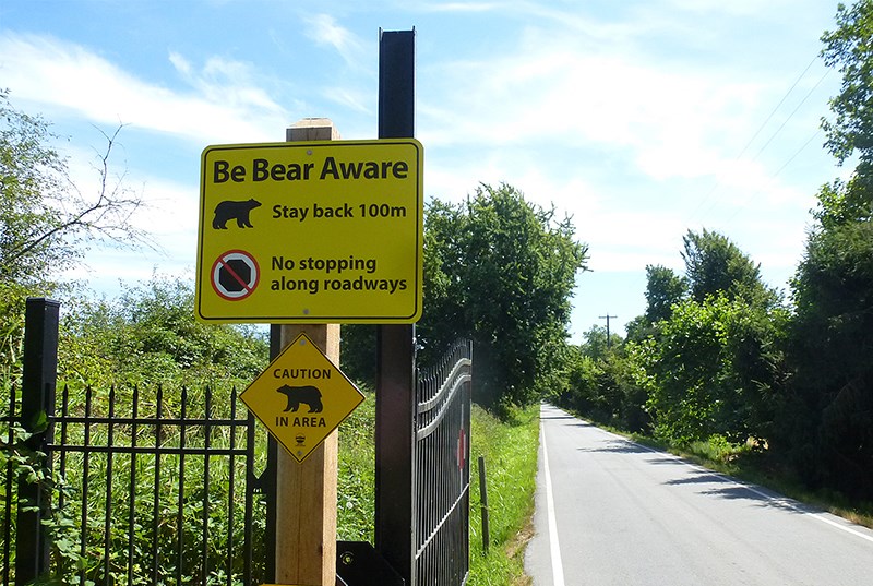 Bear sign