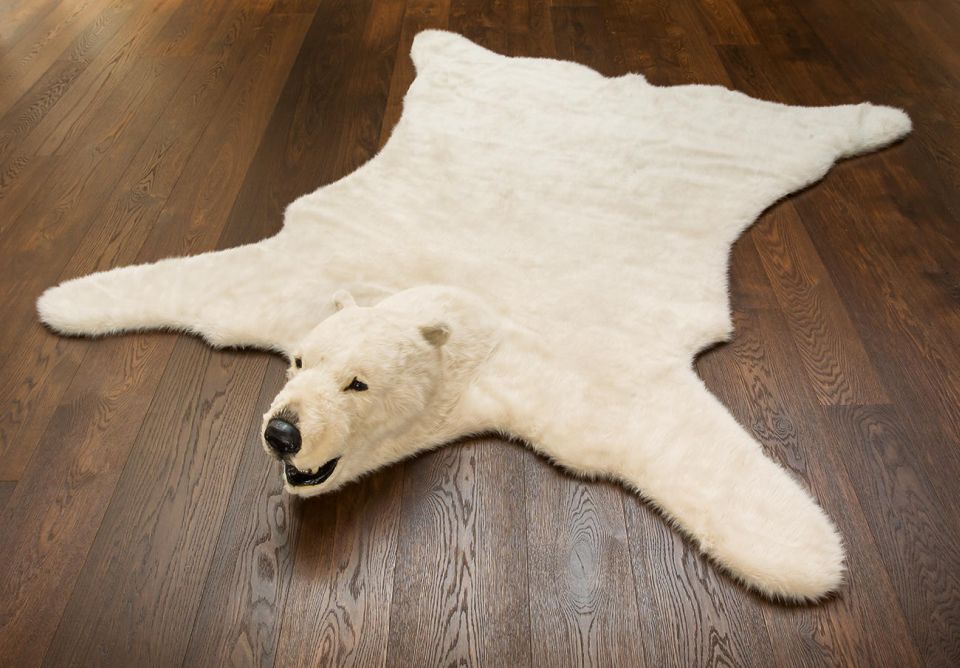 Letter Disgusted By Polar Bear Rug Ad, Faux Fur Polar Bear Rug