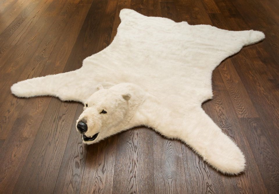 Polar bear rug