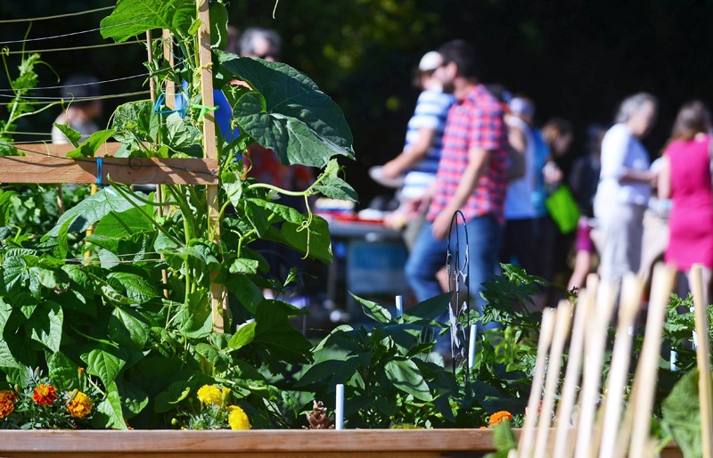 Royal City gardening enthusiasts gathered Thursday to celebrate the official opening of the Gardens at City Hall community garden on the front lawn of New Westminster city hall.