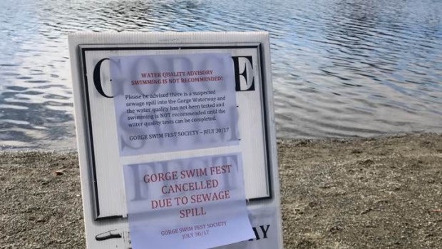 The Gorge Swim Fest was cancelled because of contamination