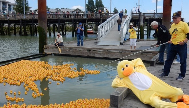 rubber ducks