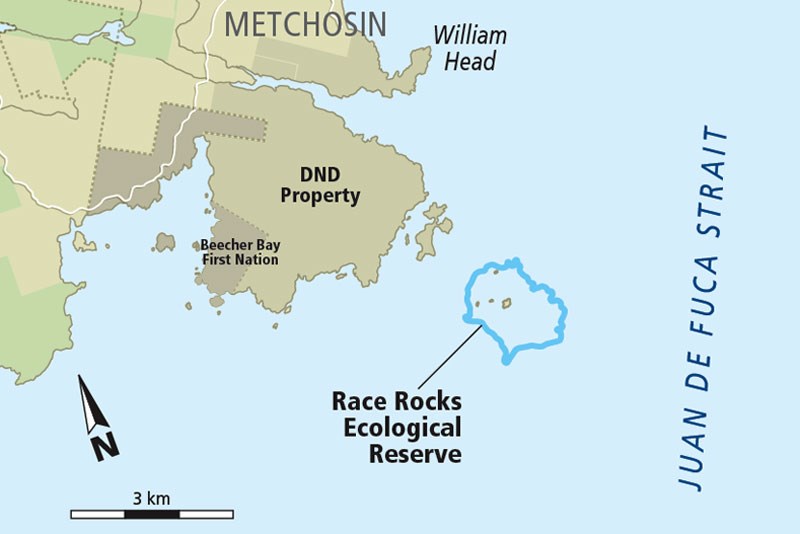 MAP-Race_Rocks.jpg