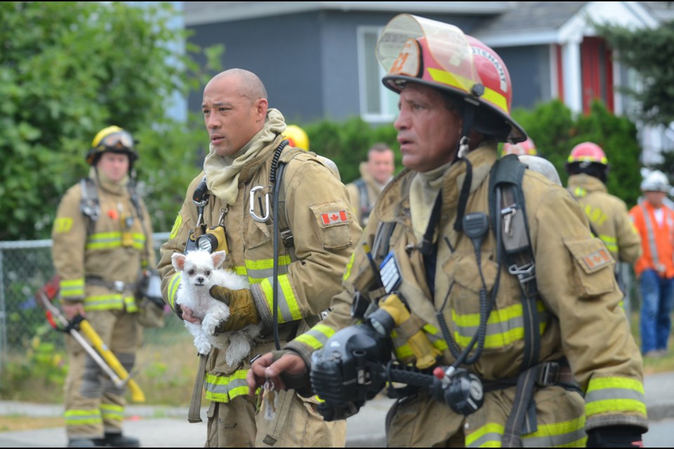 Burnaby firefighters carry a dog rescued from a burning Balmoral Street apartment building back to its owners.