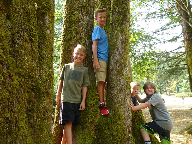 Relax, climbing trees is safer for kids than playing sports