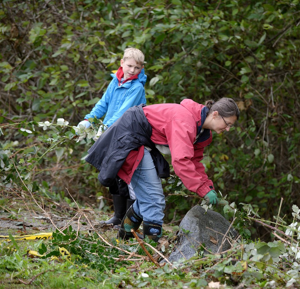 Queensborough shoreline cleanup