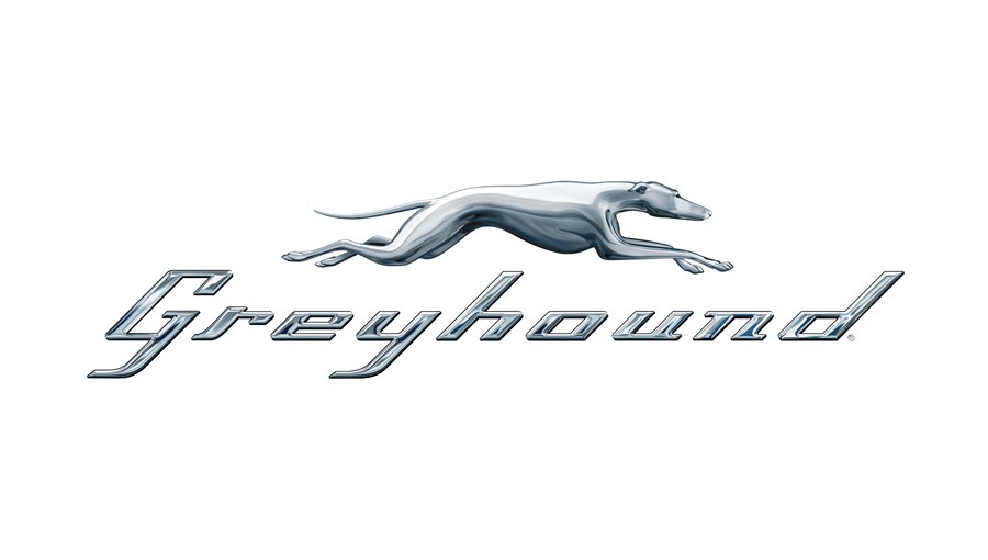 greyhound for web