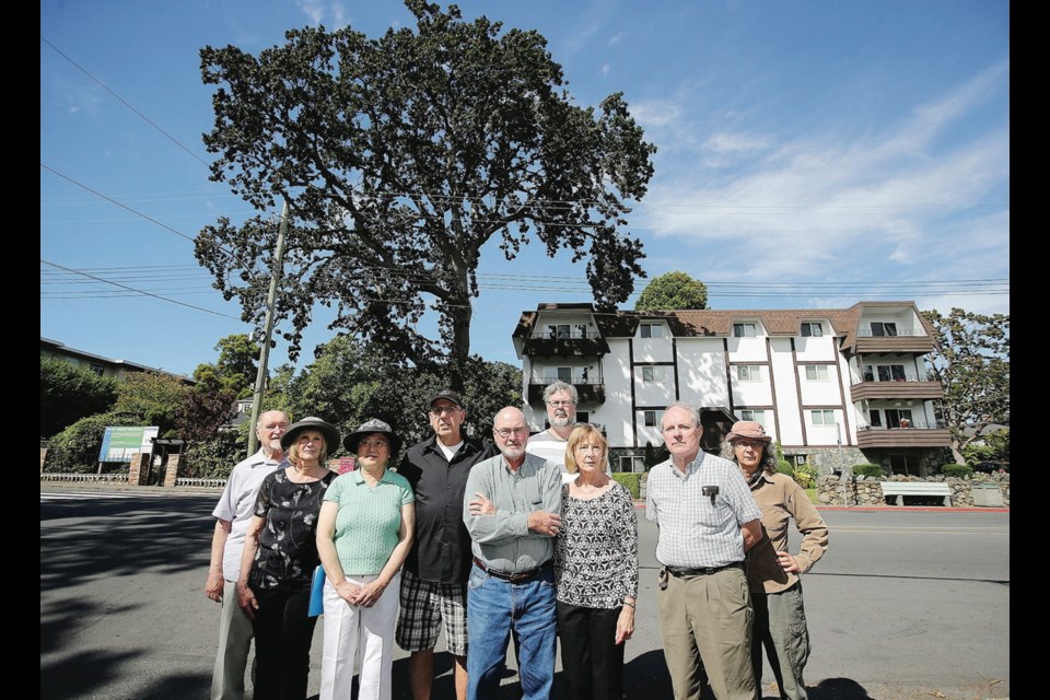 Peter Green, left, Wendy Wiley, Jan Li, Ron Noel, John Tiffany, Marilyn Noel, Maurice Lagasse, Mike Wilmut and Nancy Barnes are members of the campaign to save the Garry oak tree at 2326 Oak Bay Ave. The tree is estimated to be betweden 125 and 150 years old, and arborists say it is in good condition.