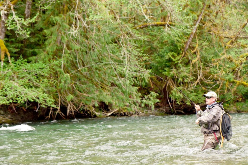 Chinook, chum and coho salmon abound in the Cowichan River, along with several species of trout.