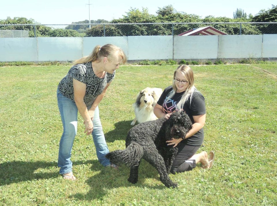 kennel