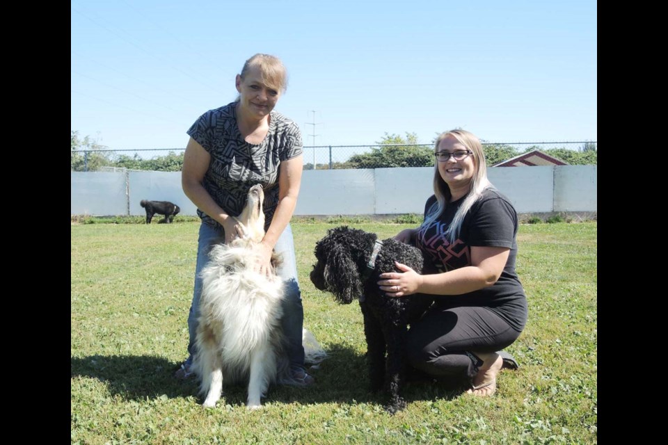 Sylvia Goldmanis (left) and her daughter, Alyshia Roulston, are now running the former BC Canine business. The previous owner is being investigated for animal cruelty. Photo by Alan Campbell/Richmond News