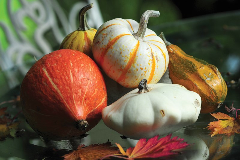 Squash