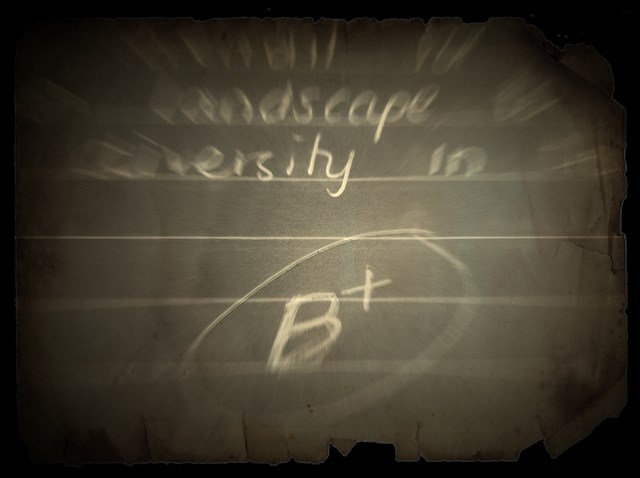 grades