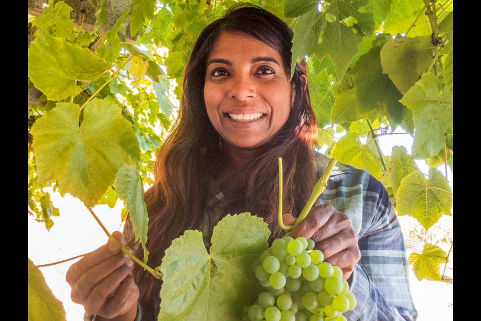 Nalini Samual, owner of Garry Oaks Estate Winery on Salt Spring Island. The boutique winery was originally a sheep farm, converted to a vineyard in 1999 and planted with Pinot Gris, Pinot Noir, Gewurztraminer and Zweigelt.