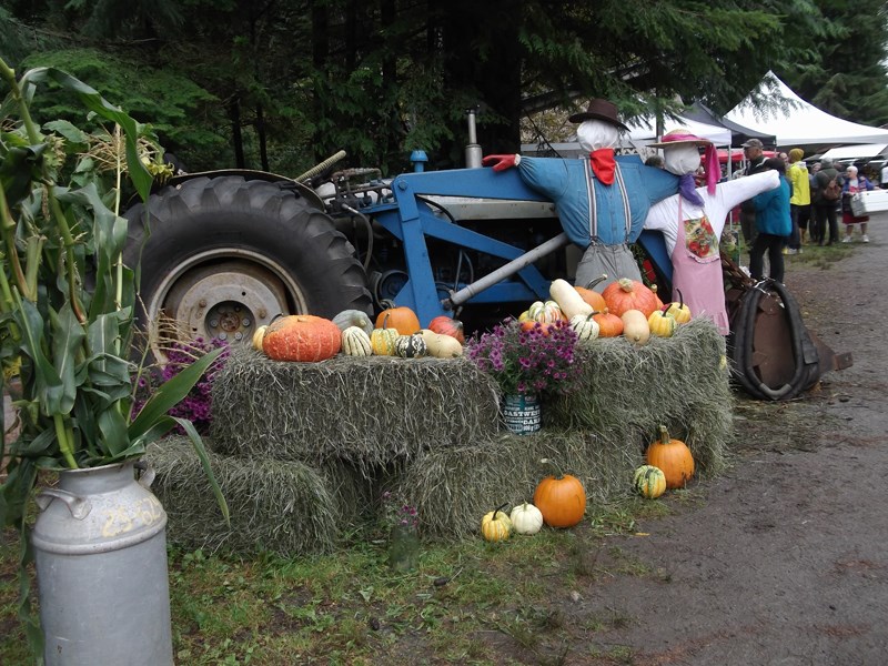 Fall Fair