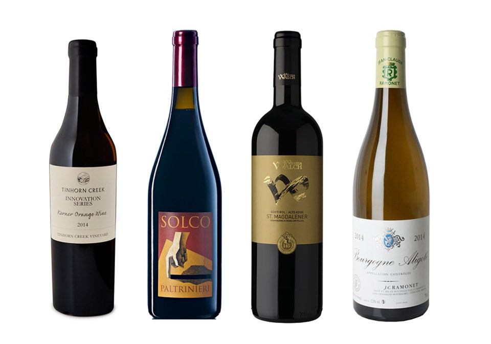 0907 WINE fringe