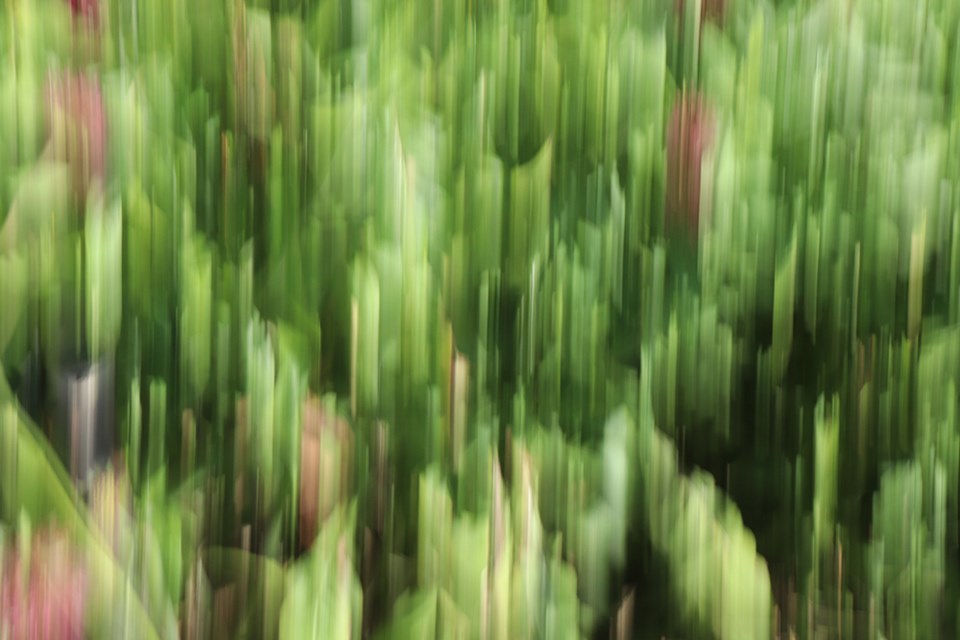 poem 0914