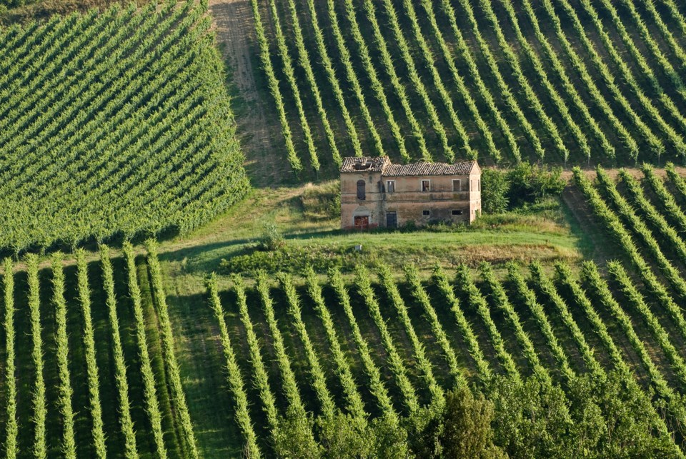 wine 0921