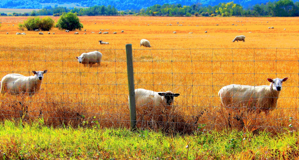 Be outstanding in your field.