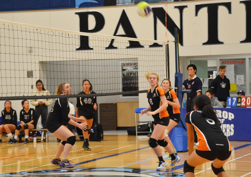 NW volleyball