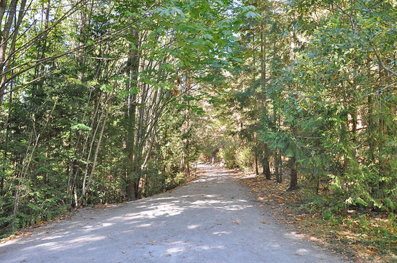 Whyte Lake
