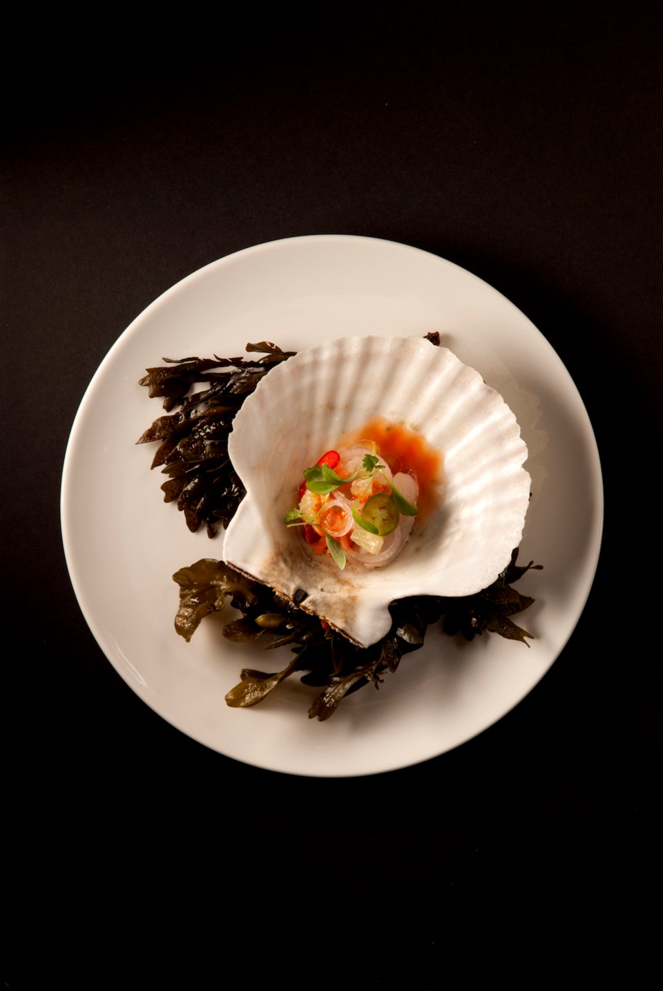 Scallop