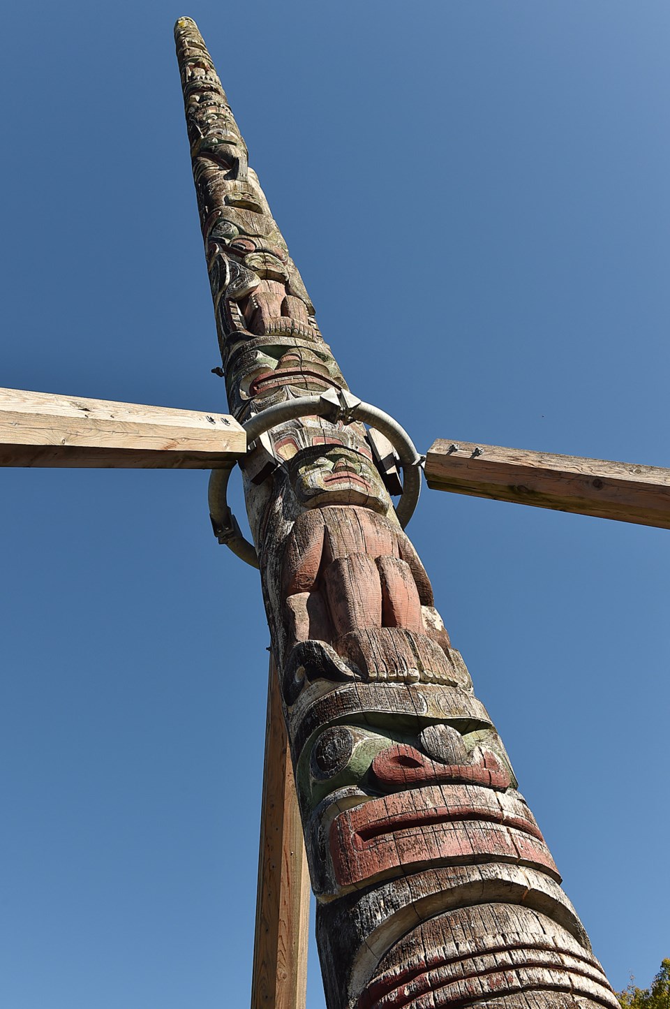 centennial totem pole