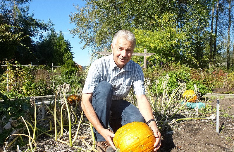 Pumpkin