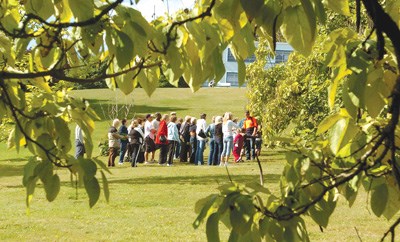 Treefest