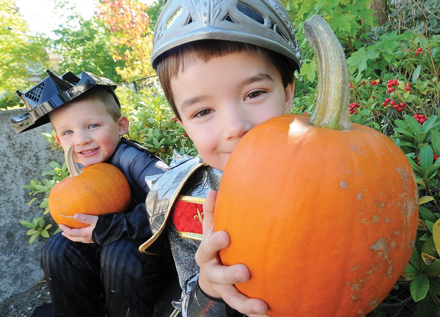 lynn valley pumpkin patch