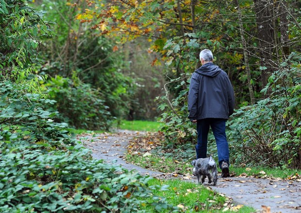 trail walk