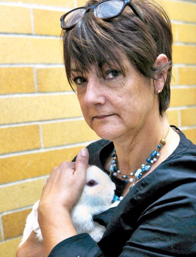 spca bunnies