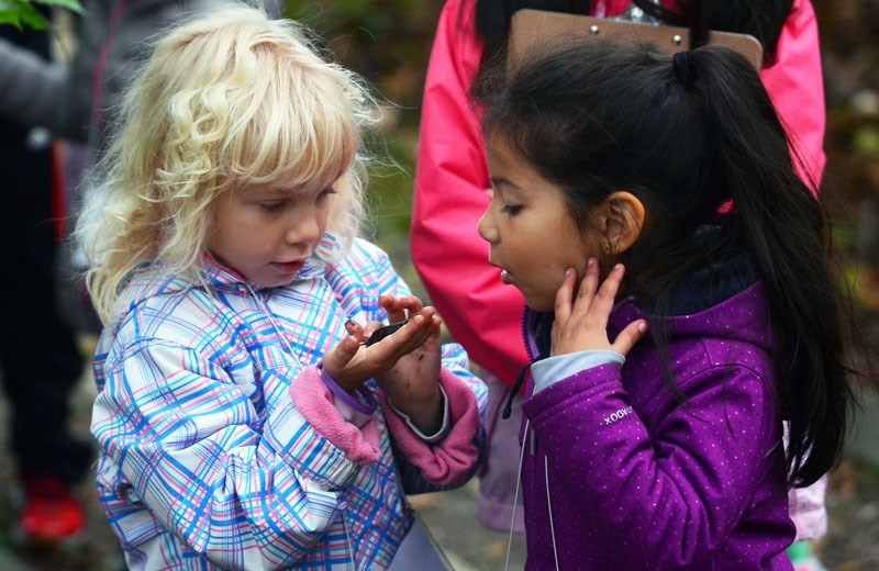 Aubrey Elementary School kindergarteners Brooke Saunders and Kimberly Gonzalez Cruz get up close and personal with a slug during an outdoor education day at Burnaby Lake Park last week.