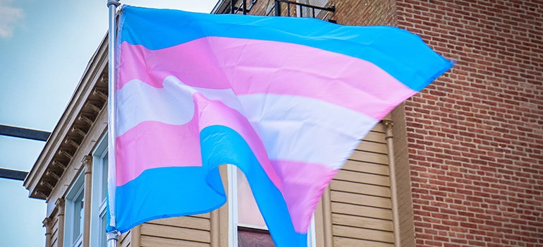 transgender flag