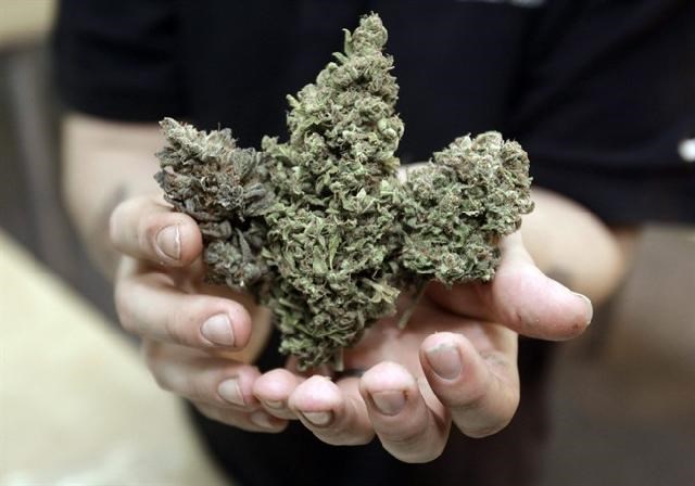 weed